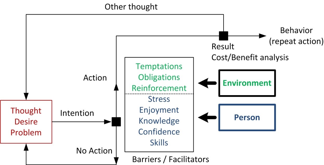 Simplified schematic overview of behavioral change or adaptation